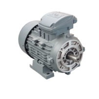 Elektrik Motoru 4 KW 5,5 HP NMF220V